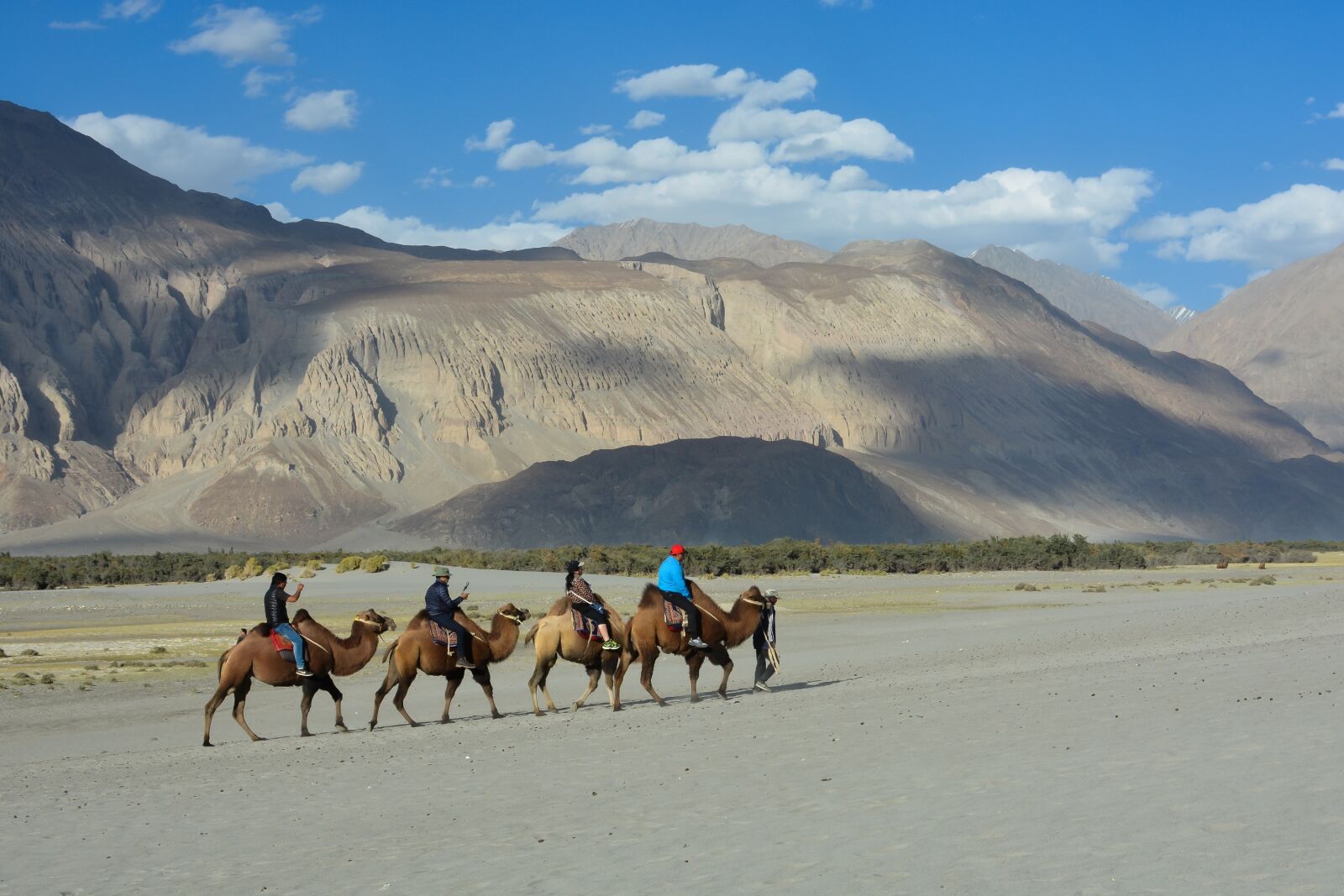 Nikon D5200 sample photo. Camel, valley, mountain photography