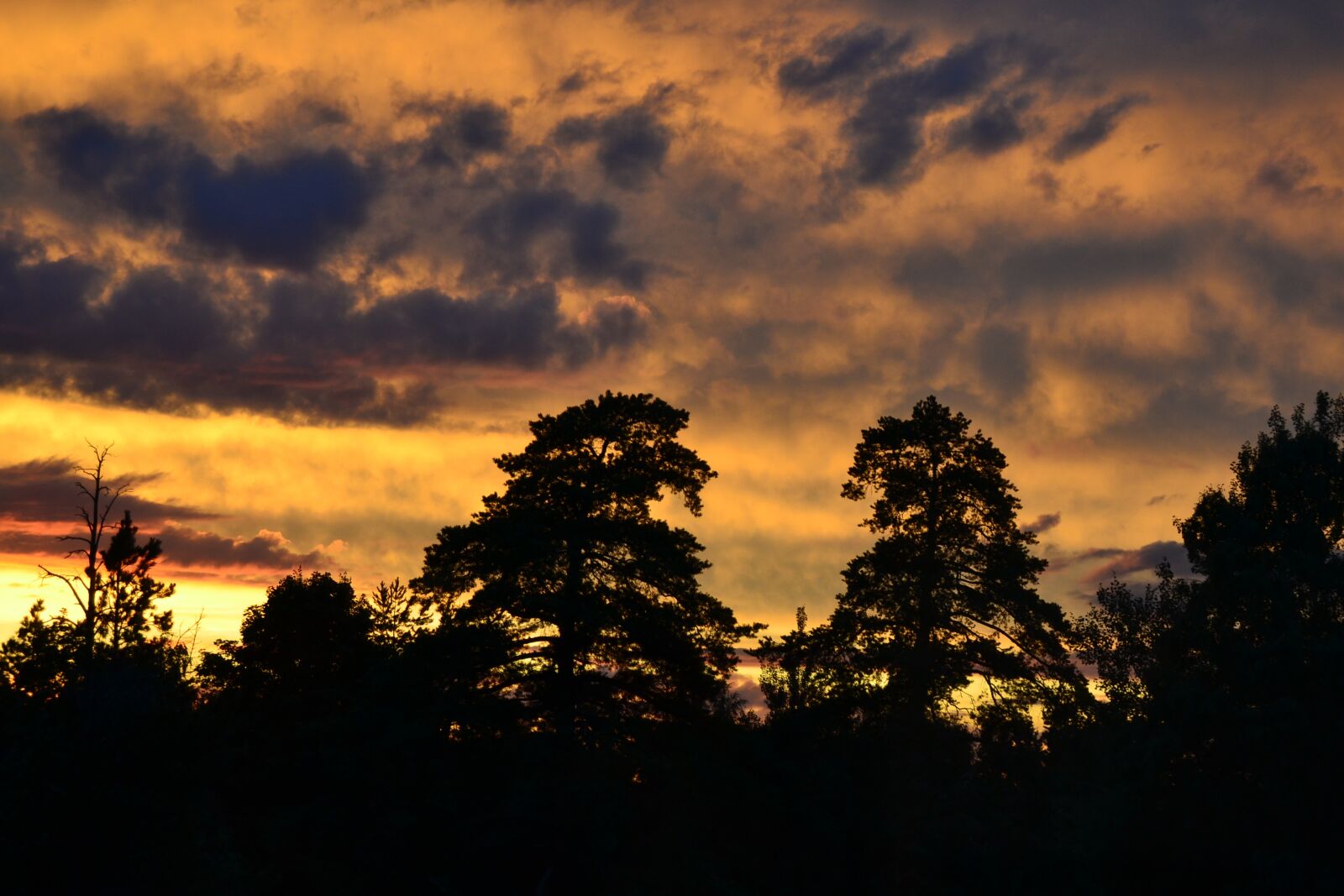 Nikon D3100 sample photo. Sky, sunset, the dramatic photography