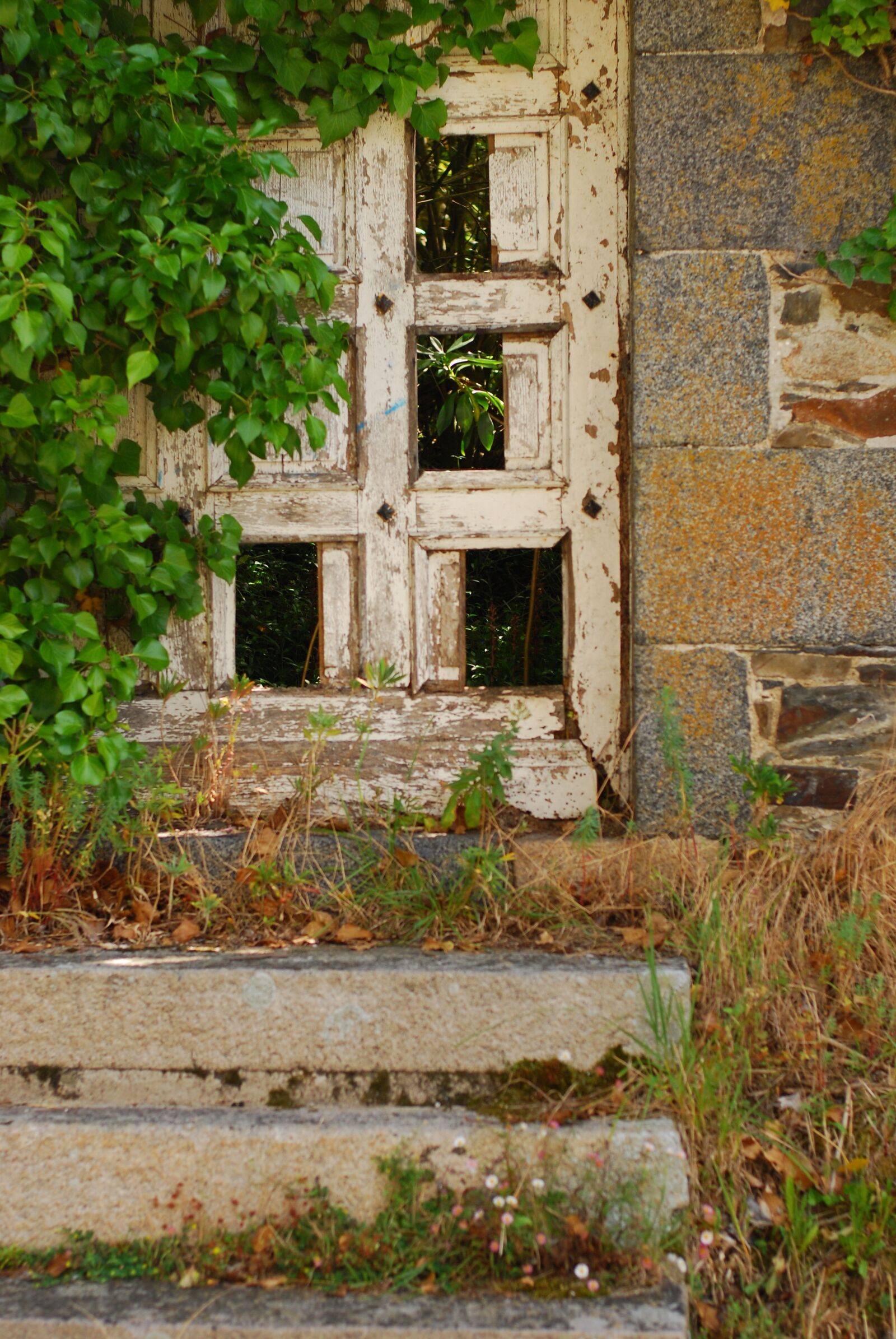 Nikon D80 sample photo. Old door, france, peek photography