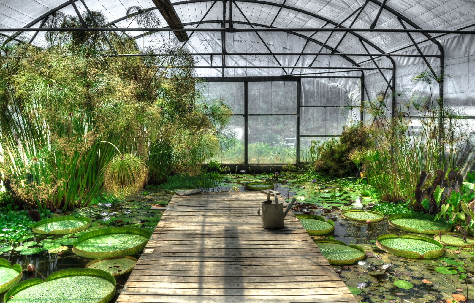 Nikon D7000 sample photo. Dock, flower, greenhouse, plants photography