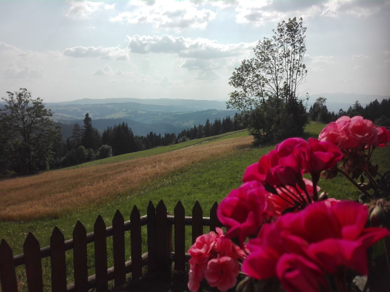 HUAWEI P8 Lite sample photo. Mountains, flowers, sky photography