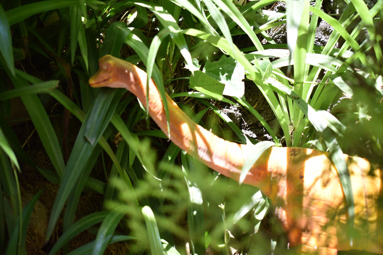Nikon D5600 sample photo. Dinosaur, monster, yellow toy photography