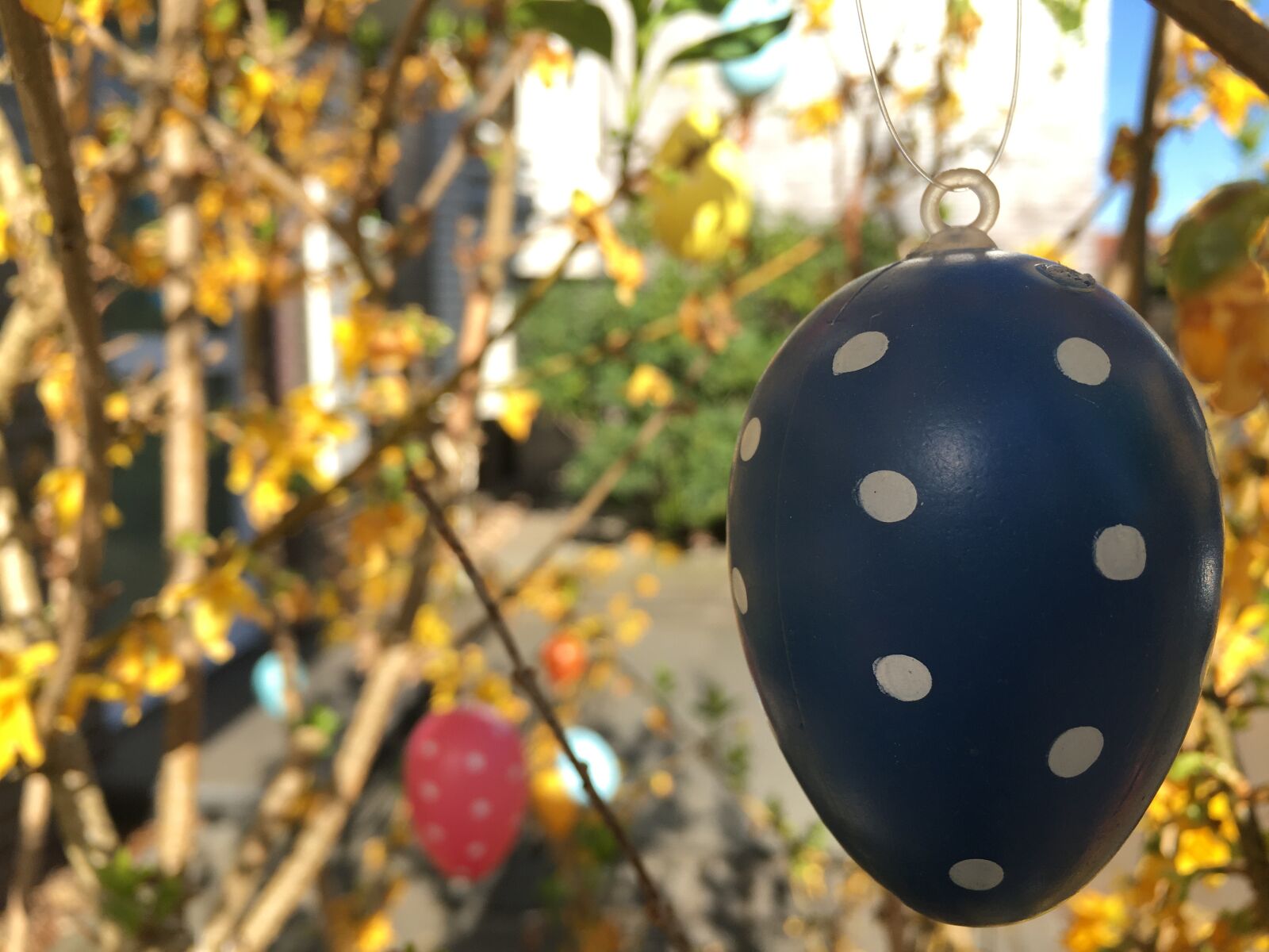 Apple iPhone 6s sample photo. Easter egg, easter, easter photography