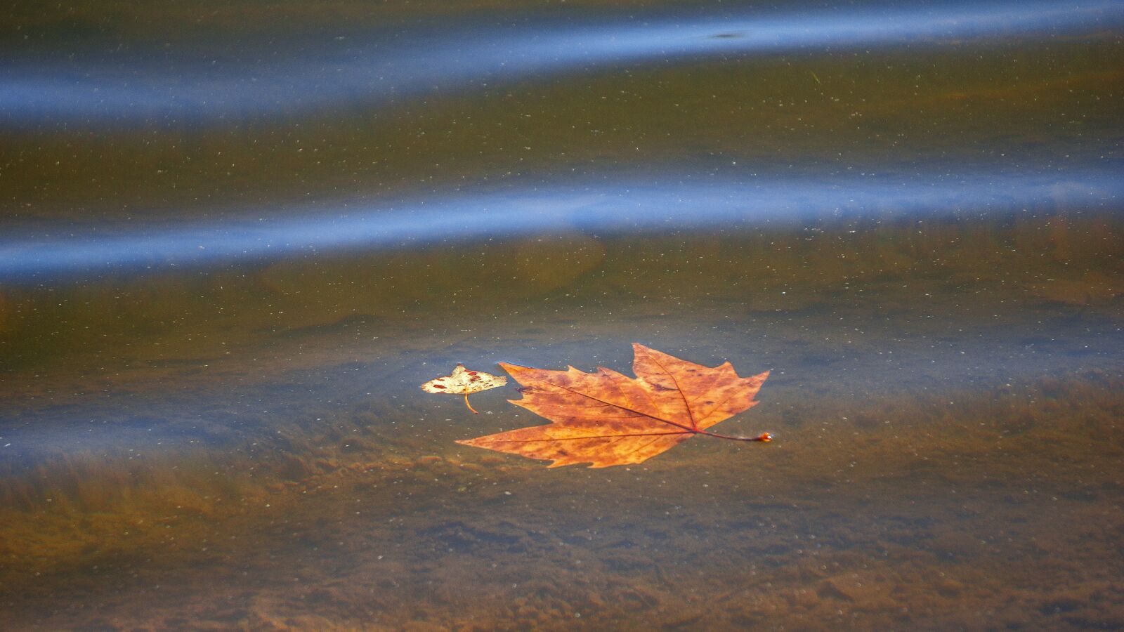 Sony a6000 sample photo. Water, item, surface photography