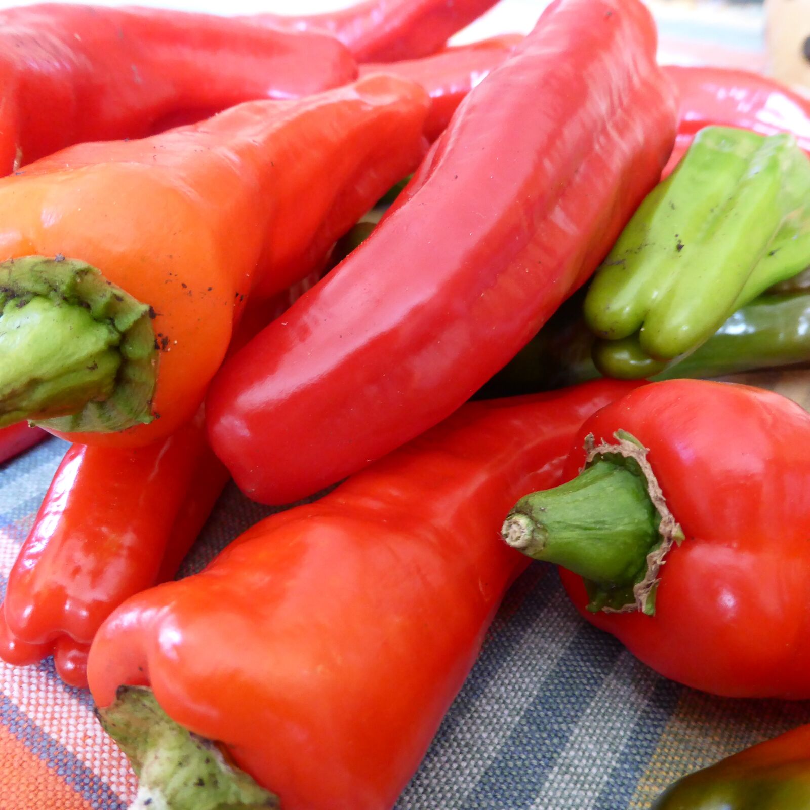 Panasonic DMC-TZ41 sample photo. Paprika, pepperoni, red photography