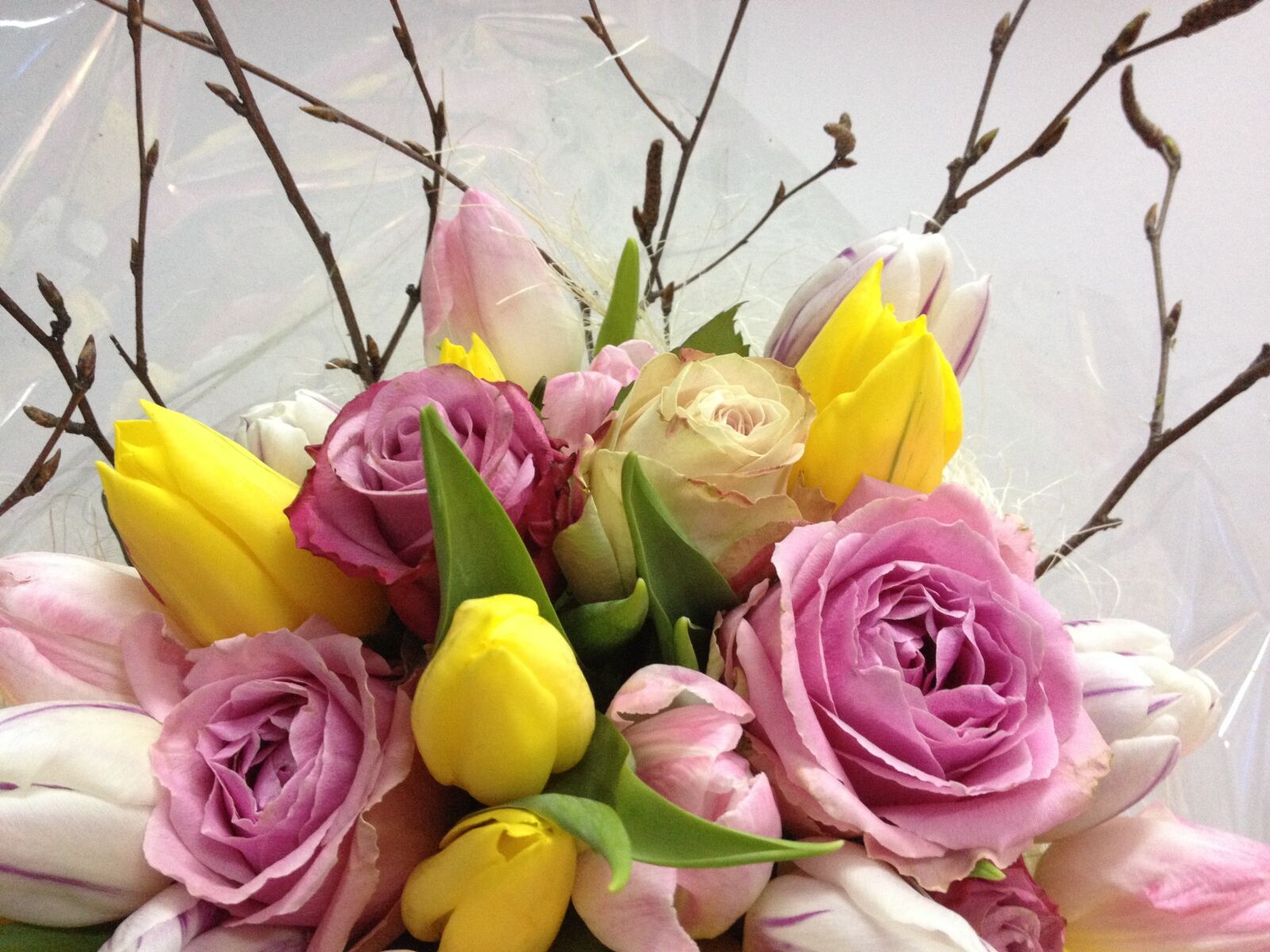 iPhone 4S back camera 4.28mm f/2.4 sample photo. Roses, flowers, bouquet photography