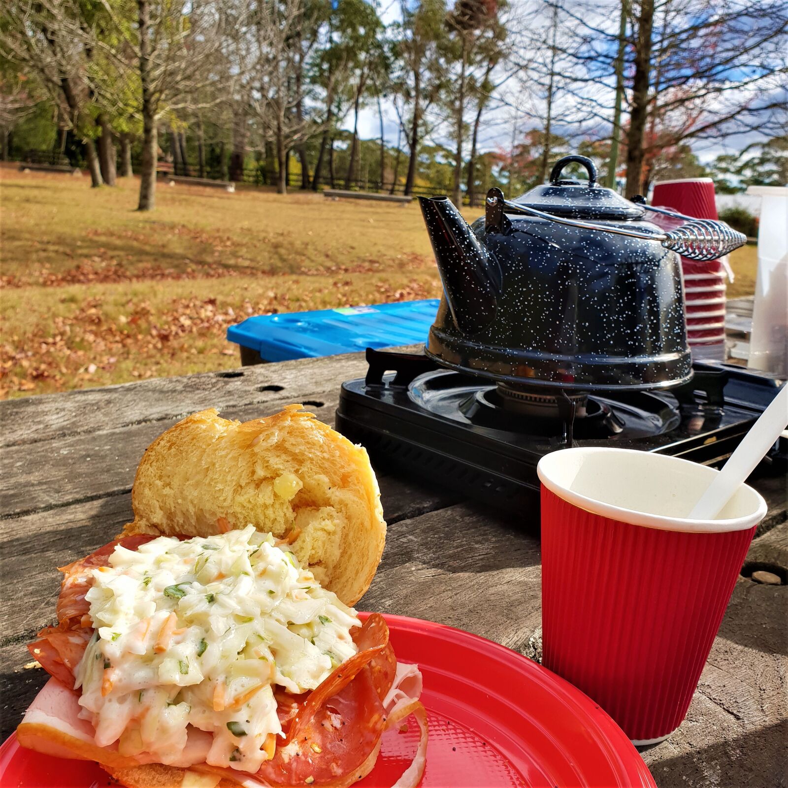 Samsung Galaxy S9 sample photo. Picnic, wilderness, outgoing photography