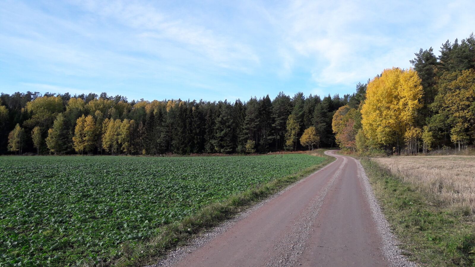 Samsung Galaxy A5(2016) sample photo. Summer, dirt road, autumn photography