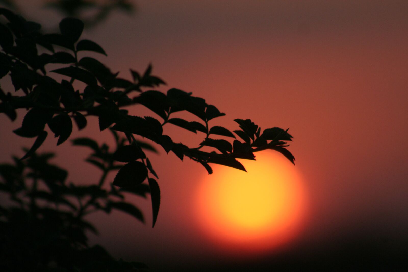 Canon EOS 350D (EOS Digital Rebel XT / EOS Kiss Digital N) sample photo. Sunset, shadow, sun photography
