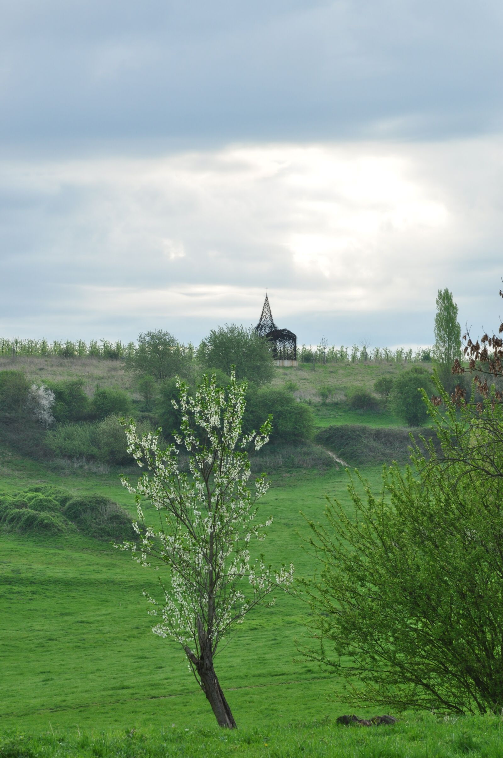Nikon D90 sample photo. Nature, dawn, dreamy photography