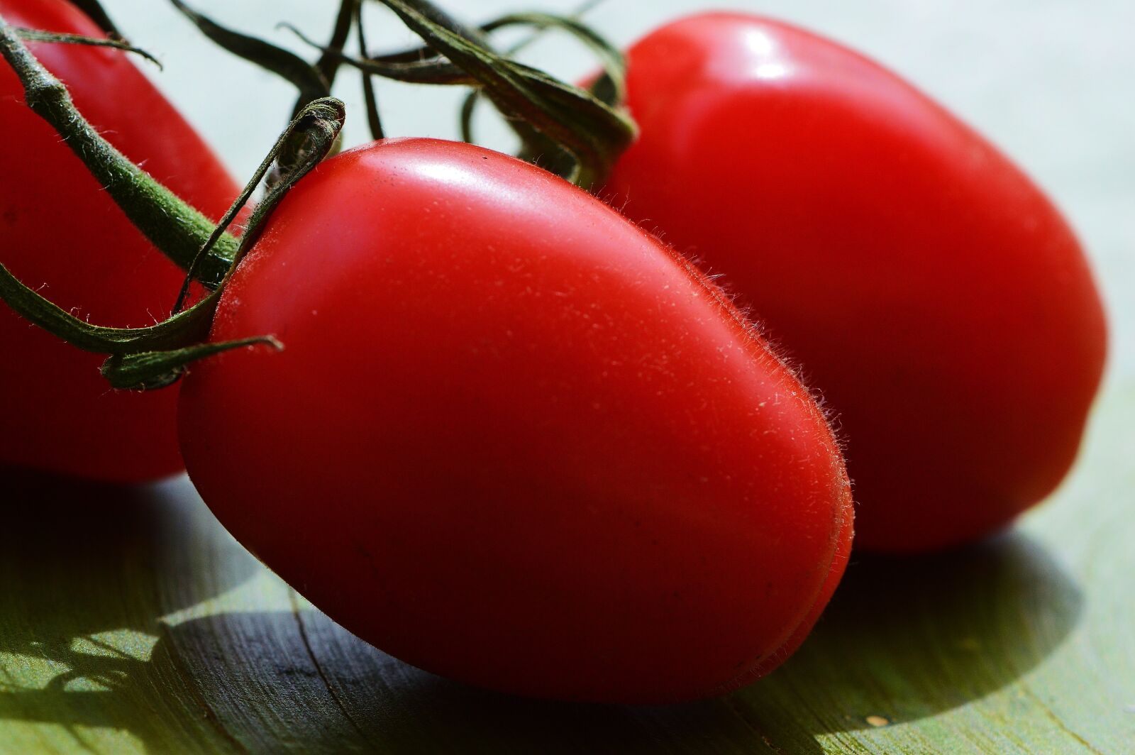 Nikon D3200 sample photo. Tomatoes, vegetables, macro photography