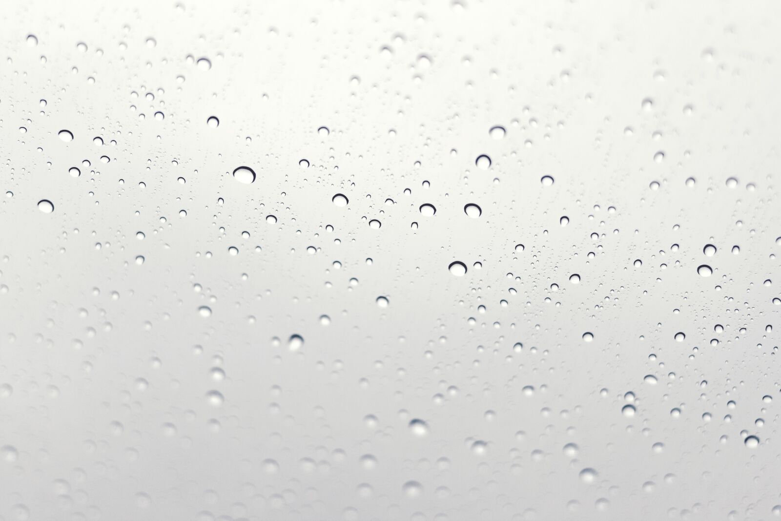 Canon EOS 400D (EOS Digital Rebel XTi / EOS Kiss Digital X) sample photo. Rain drops, raining, wet photography