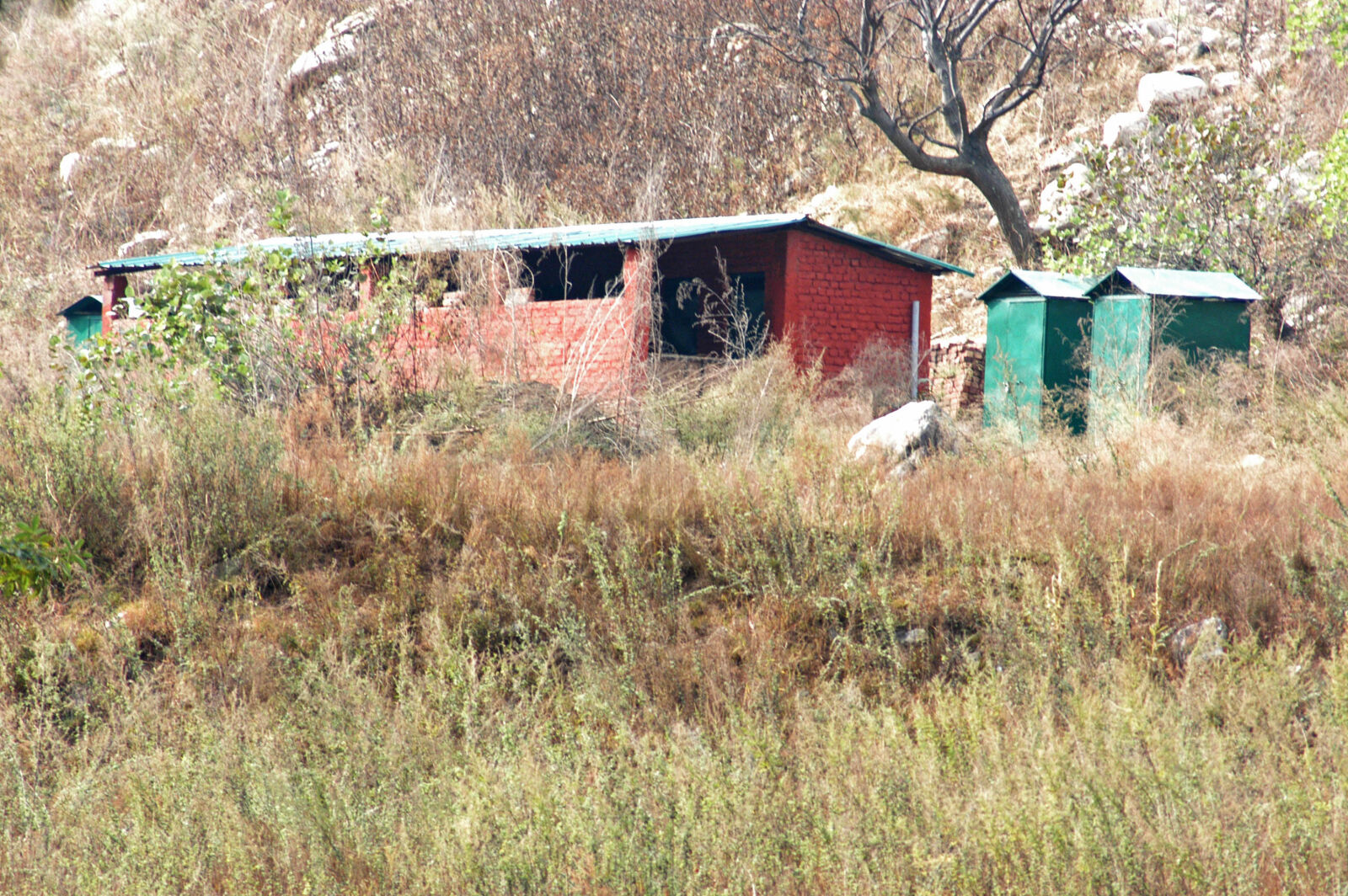 Nikon D100 sample photo