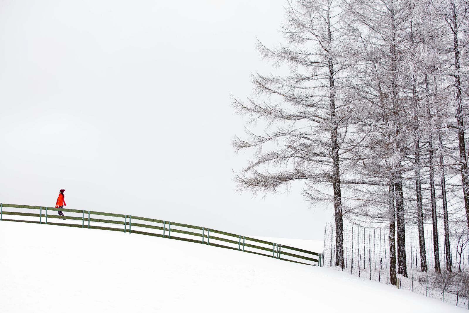 Canon EF 70-200mm F2.8L USM sample photo. Snow, white, winter photography