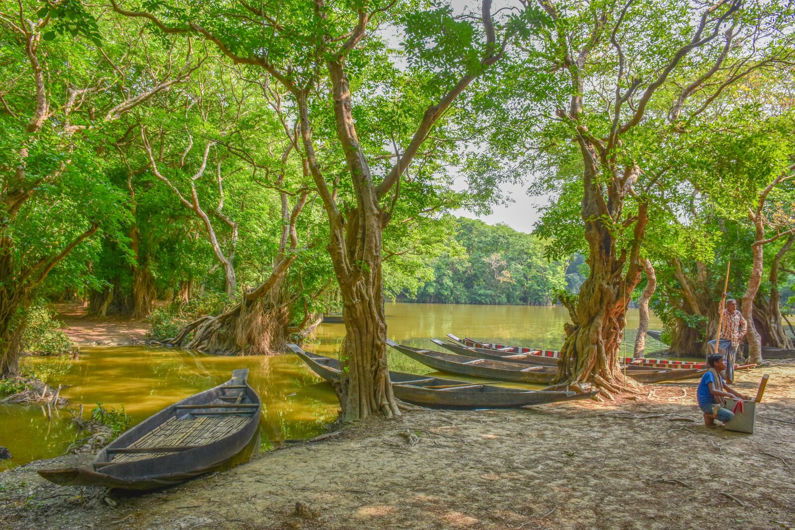 Nikon D7200 sample photo. Bangladesh, landscape, nature photography