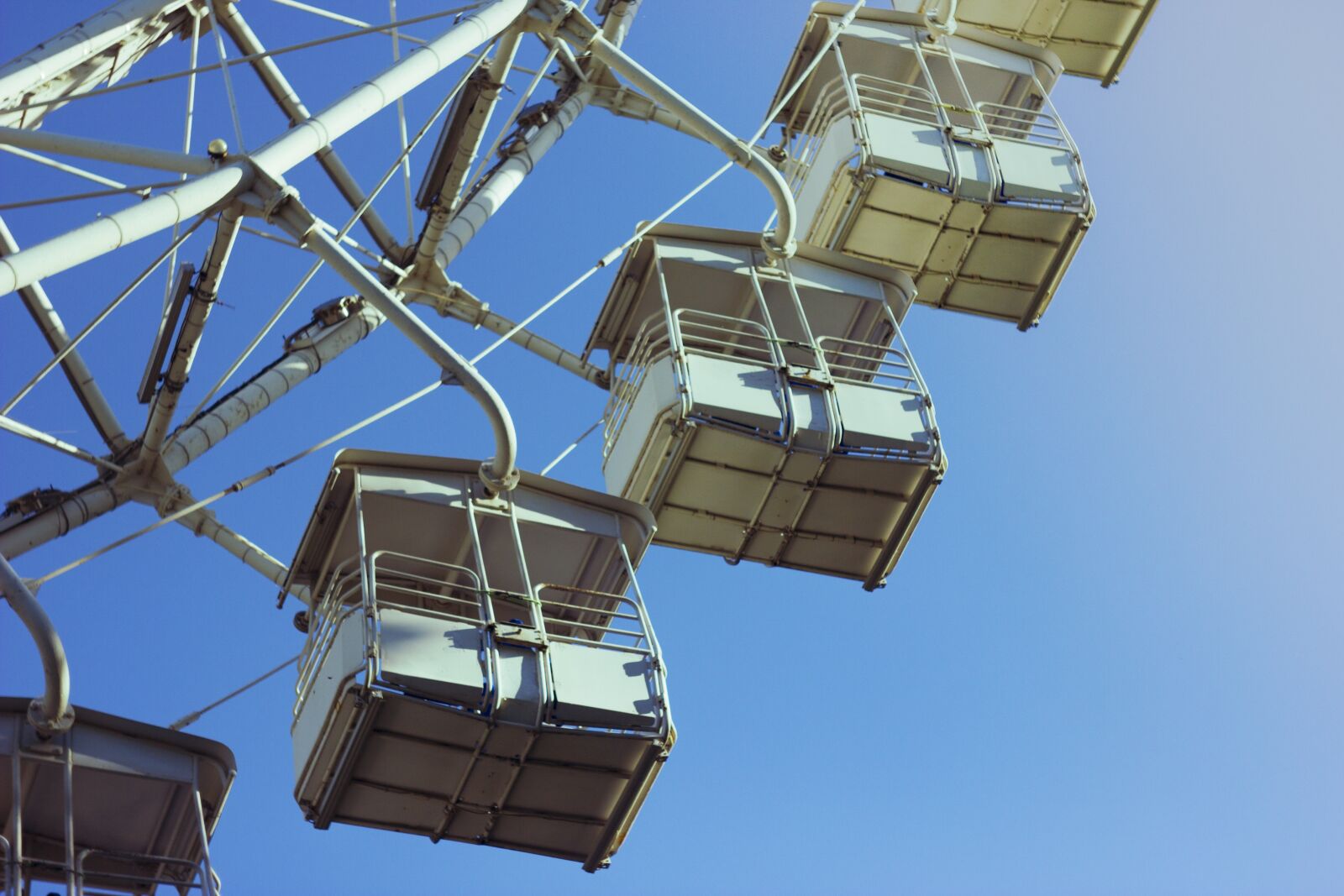 Canon EOS 550D (EOS Rebel T2i / EOS Kiss X4) sample photo. Ferris wheel, attraction, carousel photography
