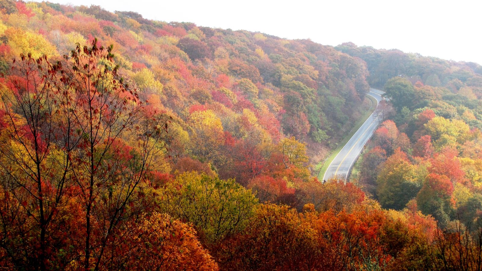 Canon PowerShot SX20 IS sample photo. Mountain, fall, autumn photography