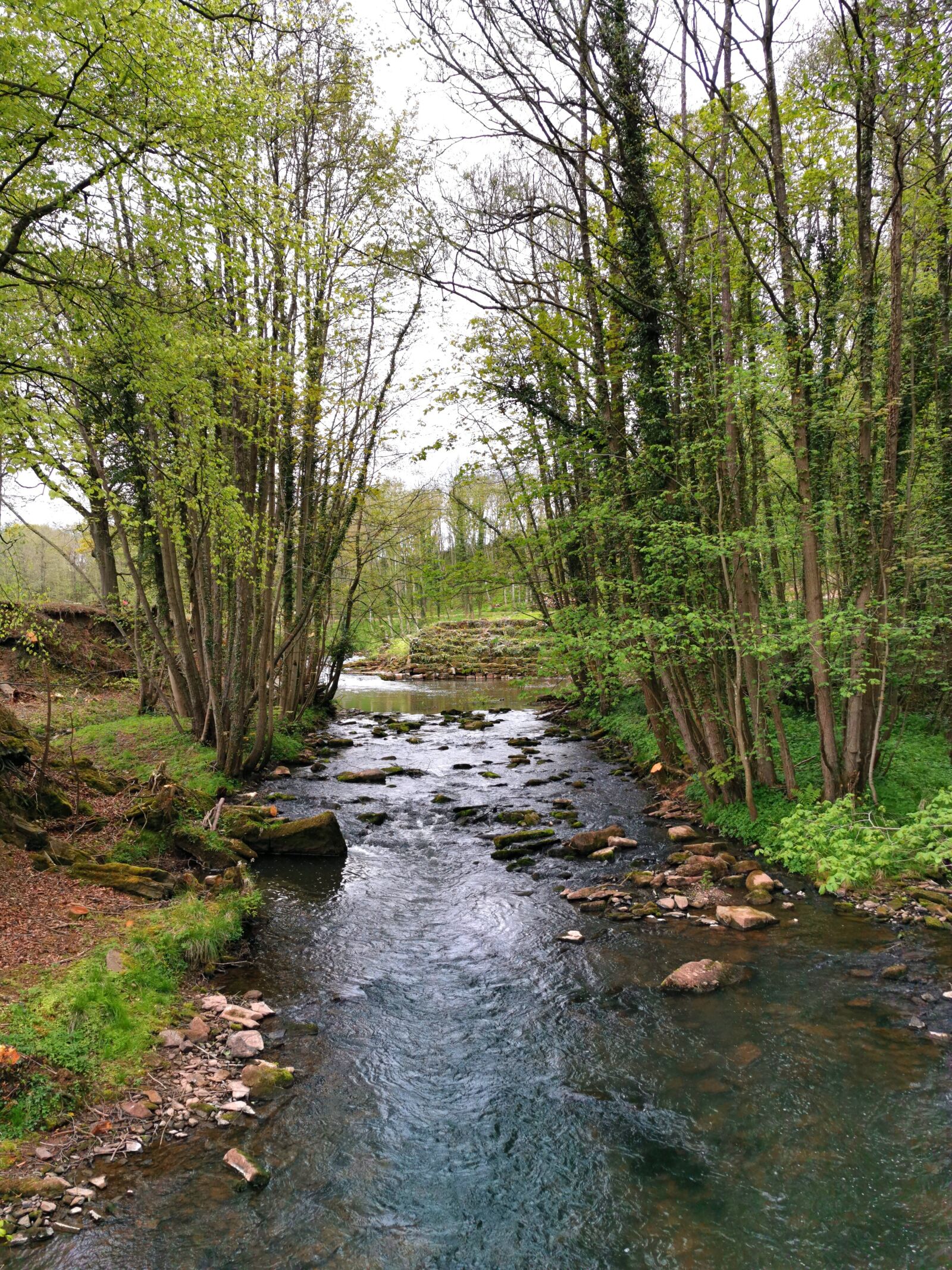 HUAWEI P30 Pro sample photo. Stream, river, outdoors photography