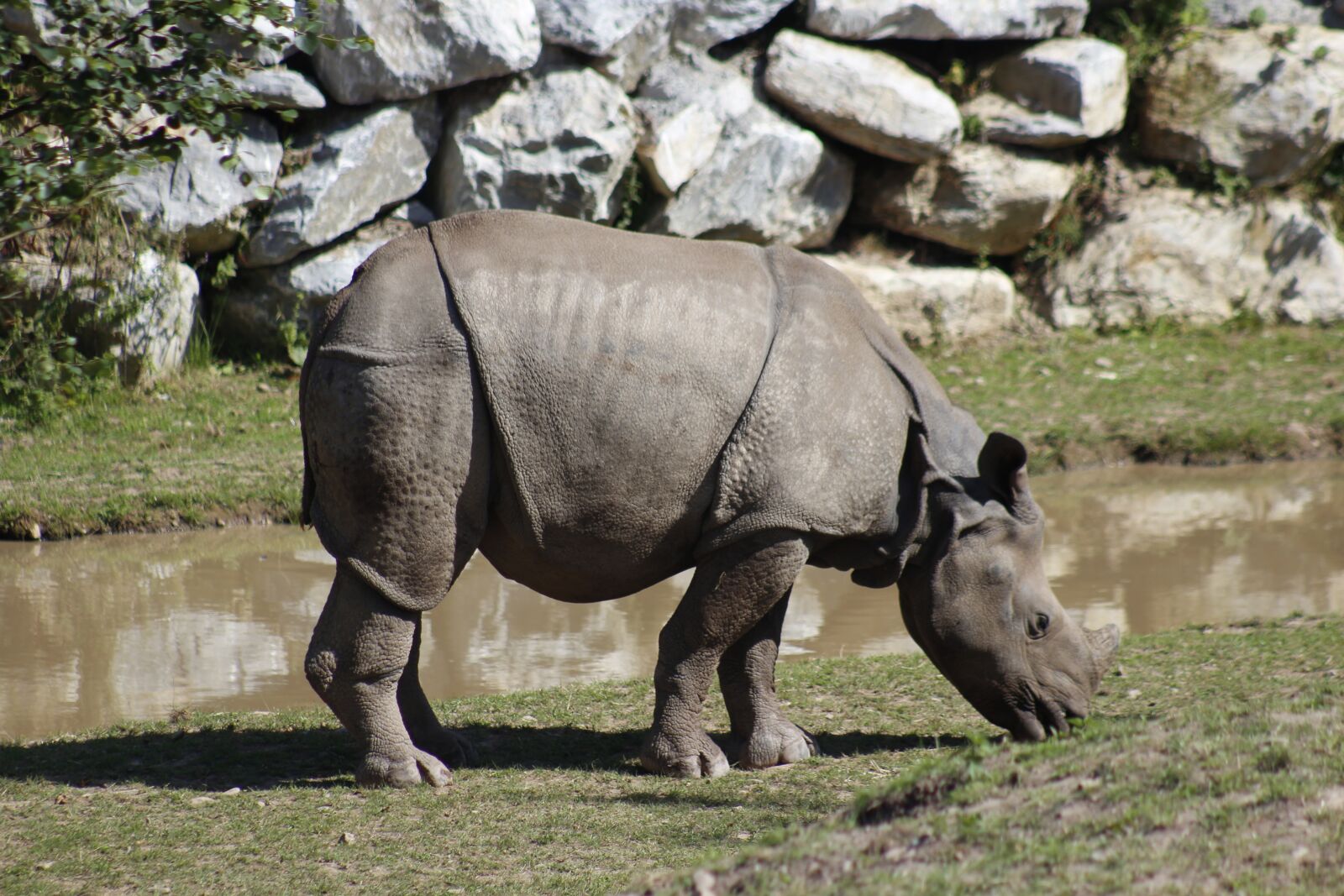 Canon EF 75-300mm f/4-5.6 USM sample photo. Zoo, travel, animal photography