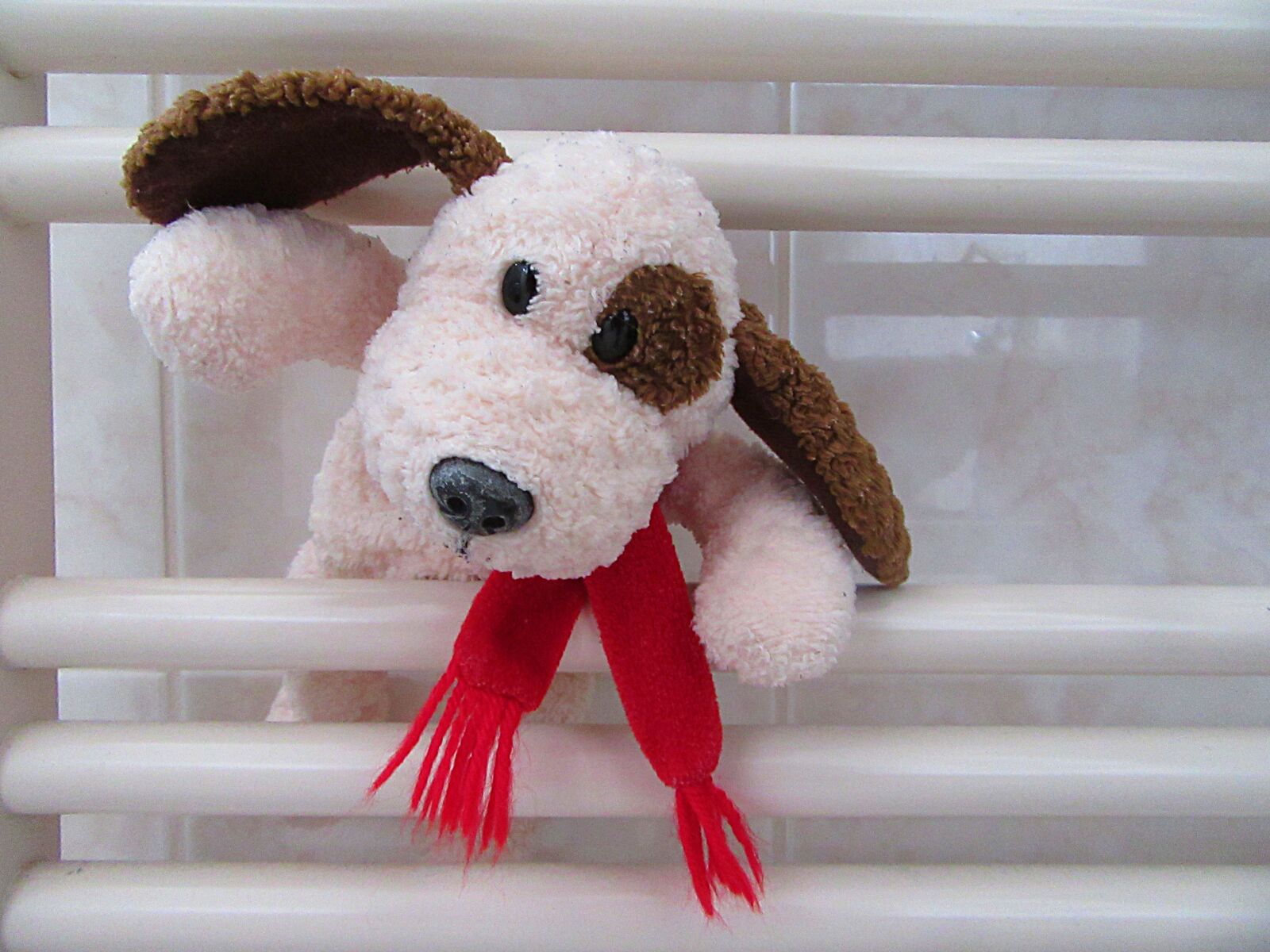Canon PowerShot SX610 HS sample photo. Toddler, drying, hug photography