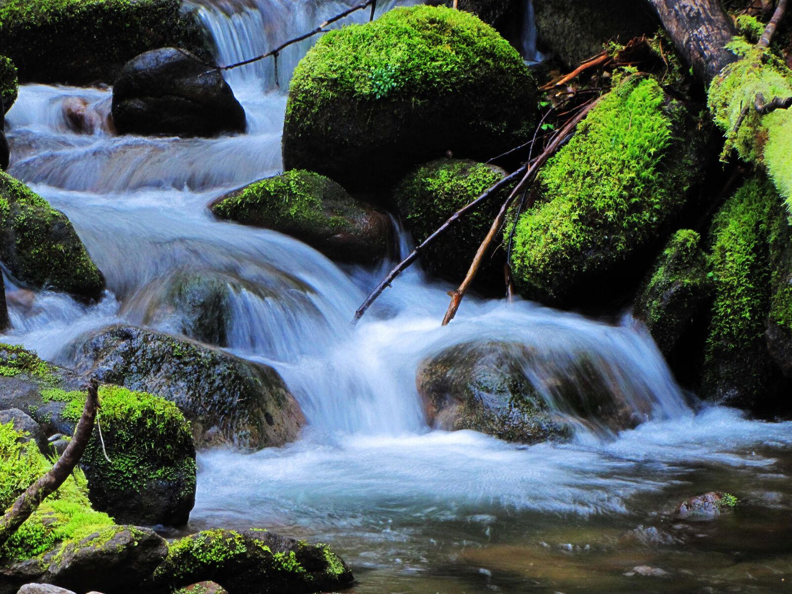 Canon PowerShot SX20 IS sample photo. Creek, nature, natural photography