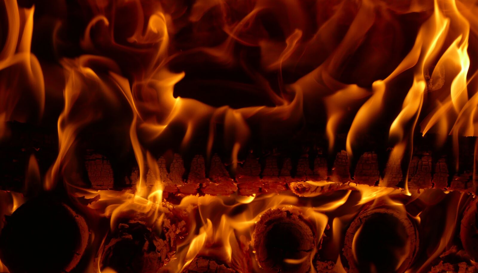 Panasonic Lumix DMC-FZ1000 sample photo. The flames, burning, wood photography