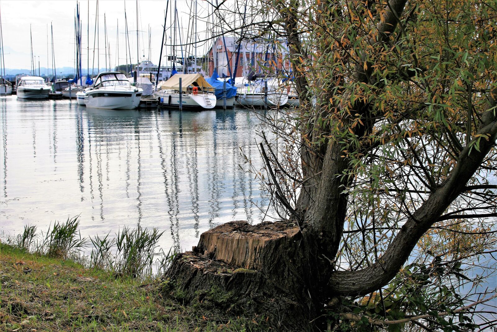 Canon EOS 400D (EOS Digital Rebel XTi / EOS Kiss Digital X) sample photo. Sailboats, bodensee, water surface photography