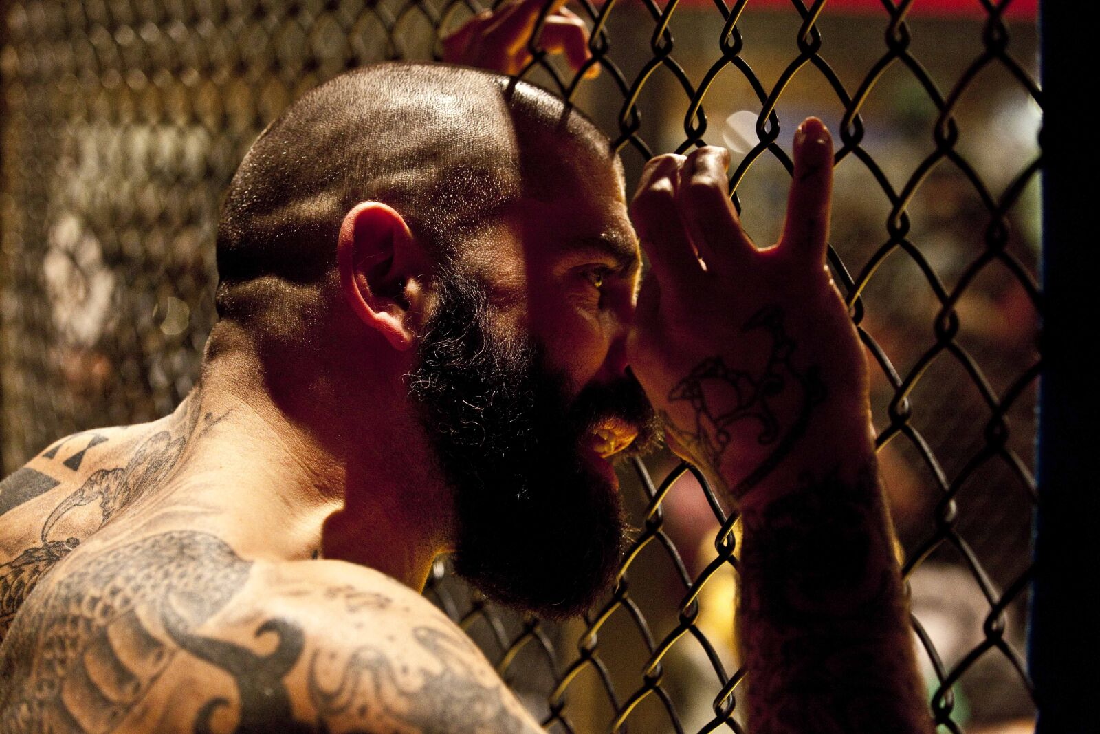 Canon EOS 5D Mark II sample photo. Mma, network, cage photography