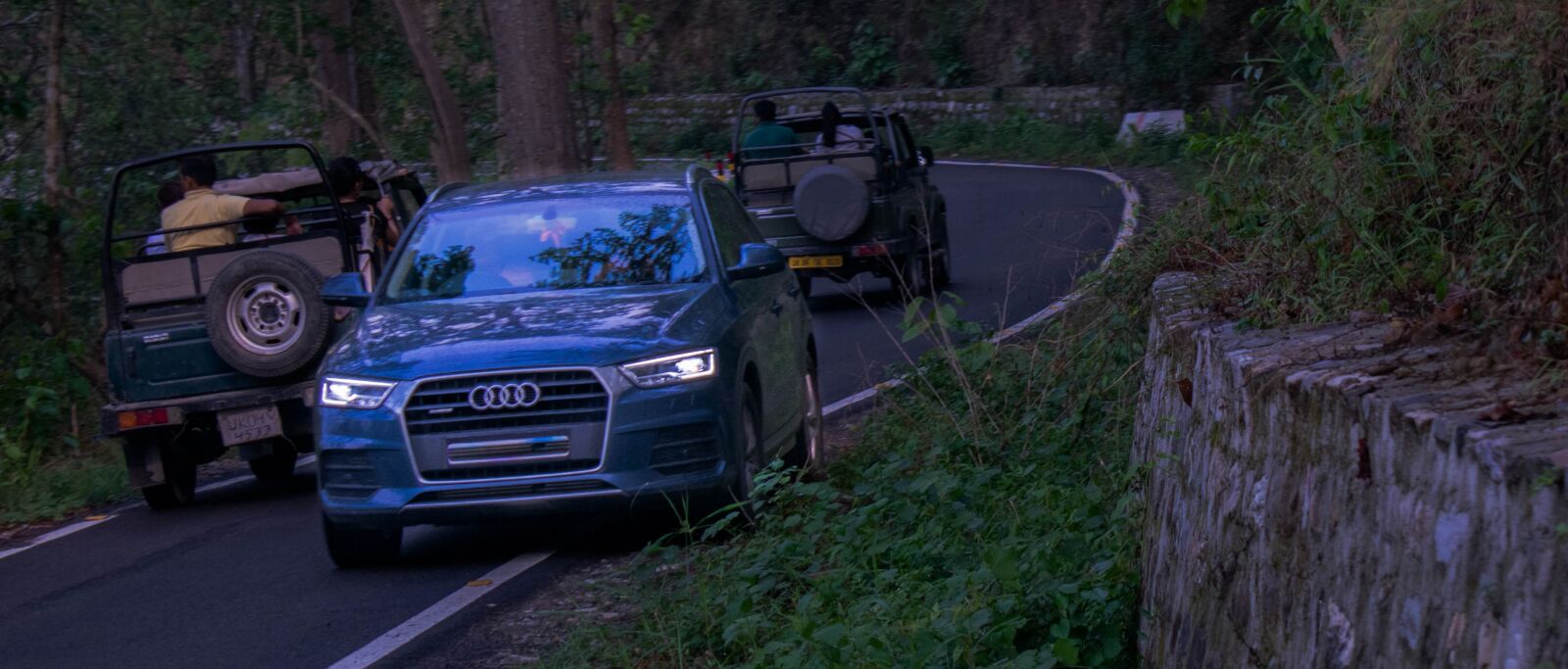Nikon D3300 sample photo. Car, audi, forest photography