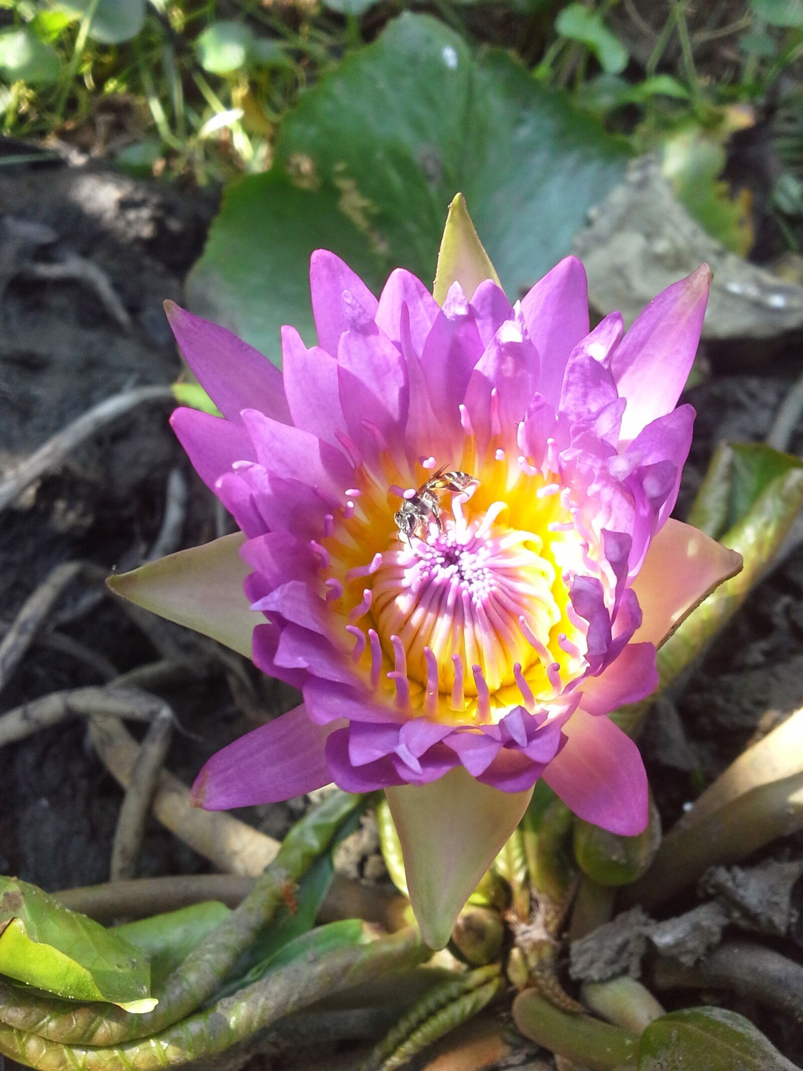 Samsung Galaxy Note 10.1 sample photo