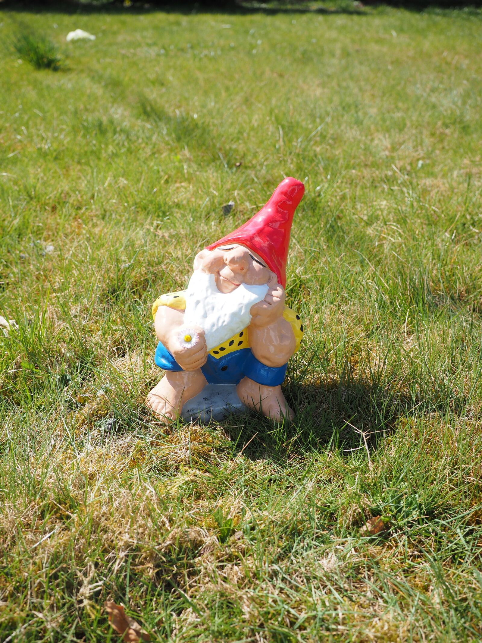Olympus OM-D E-M1 + Olympus M.Zuiko Digital ED 12-40mm F2.8 Pro sample photo. Dwarf, garden gnome, satisfied photography