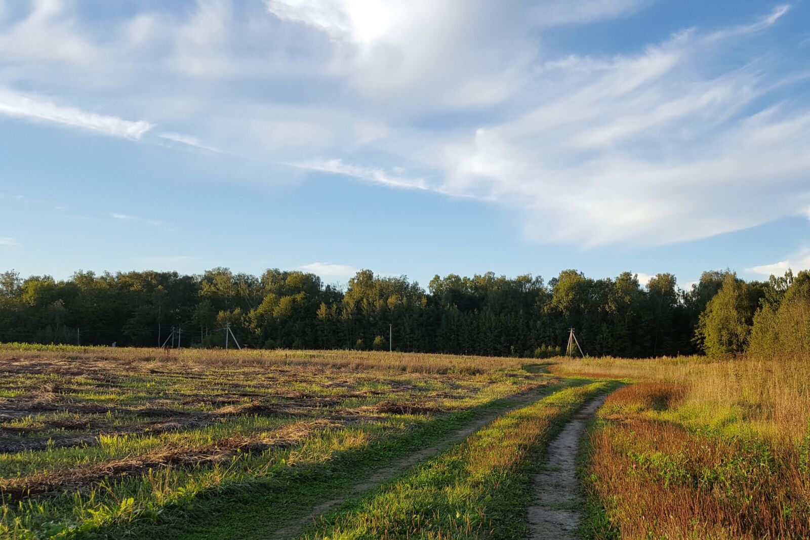 Samsung GALAXY S6 edge sample photo. Summer, august, landscape photography
