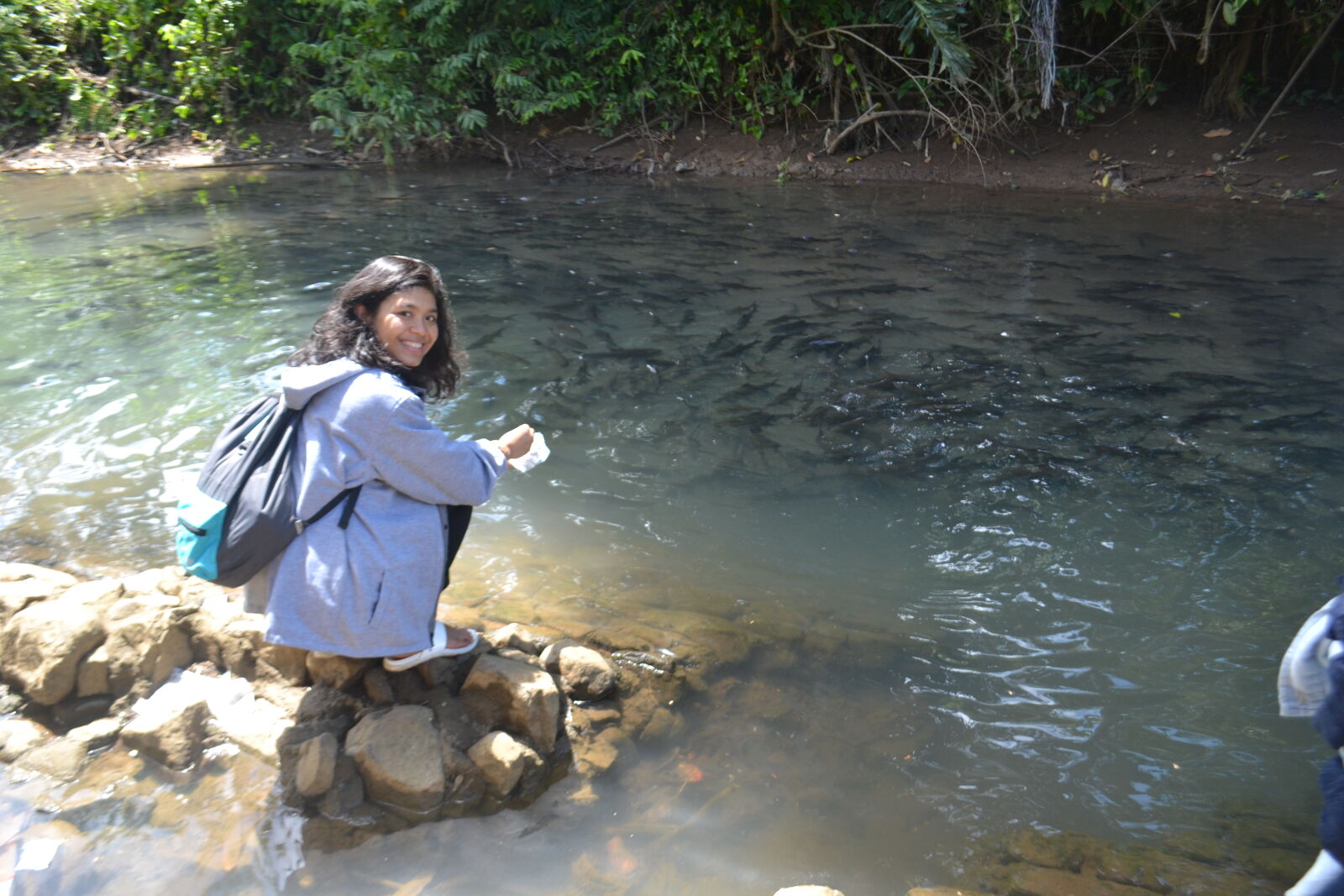 Nikon D3100 sample photo
