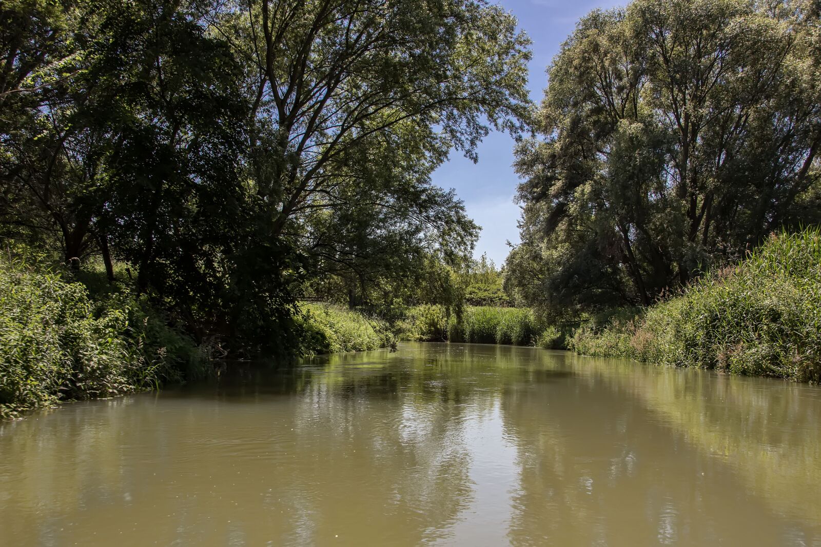Canon EOS 600D (Rebel EOS T3i / EOS Kiss X5) sample photo. Danube, slovakia, nature photography