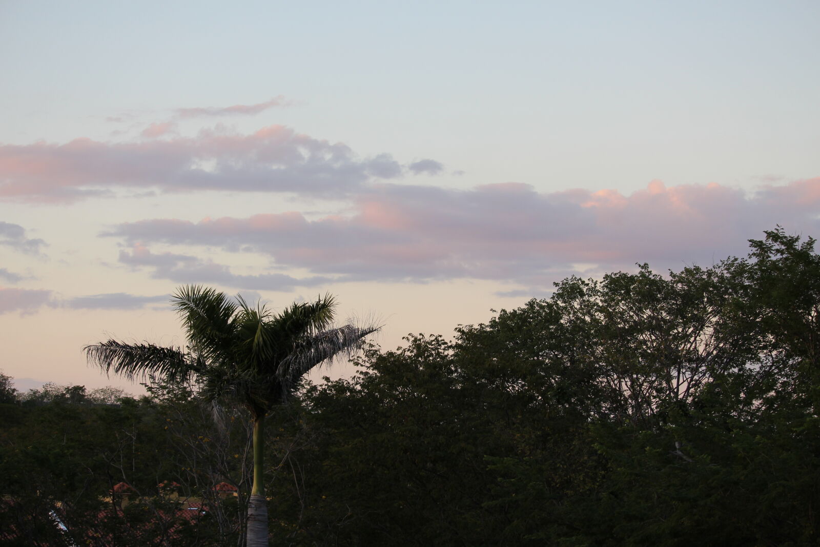Canon EF-S 55-250mm F4-5.6 IS STM sample photo. Costa, rica, sunset, tropical photography