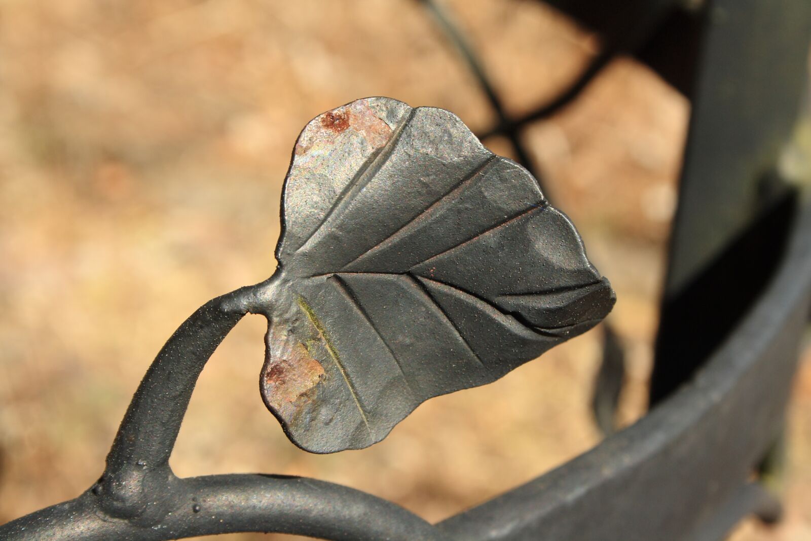 Canon EOS 1000D (EOS Digital Rebel XS / EOS Kiss F) sample photo. Metal, leaf, rust photography