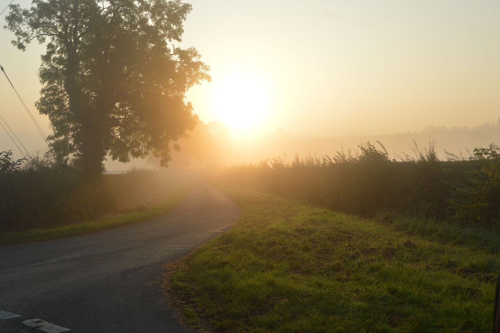 Nikon D3200 sample photo. Morning, walk, outdoors photography