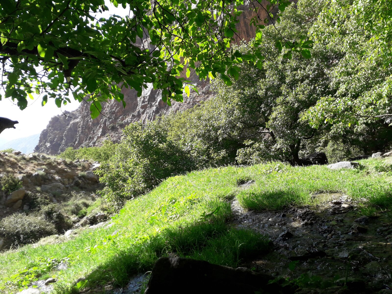 Samsung Galaxy J6 sample photo. Nature, mountain, forest photography