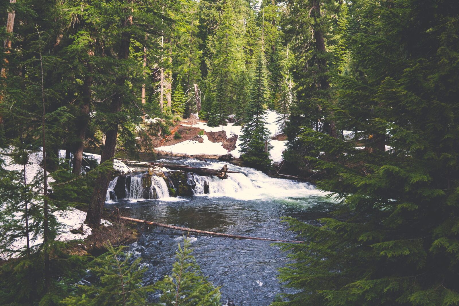 Sony a6300 sample photo. Landscape, forest, water, river photography