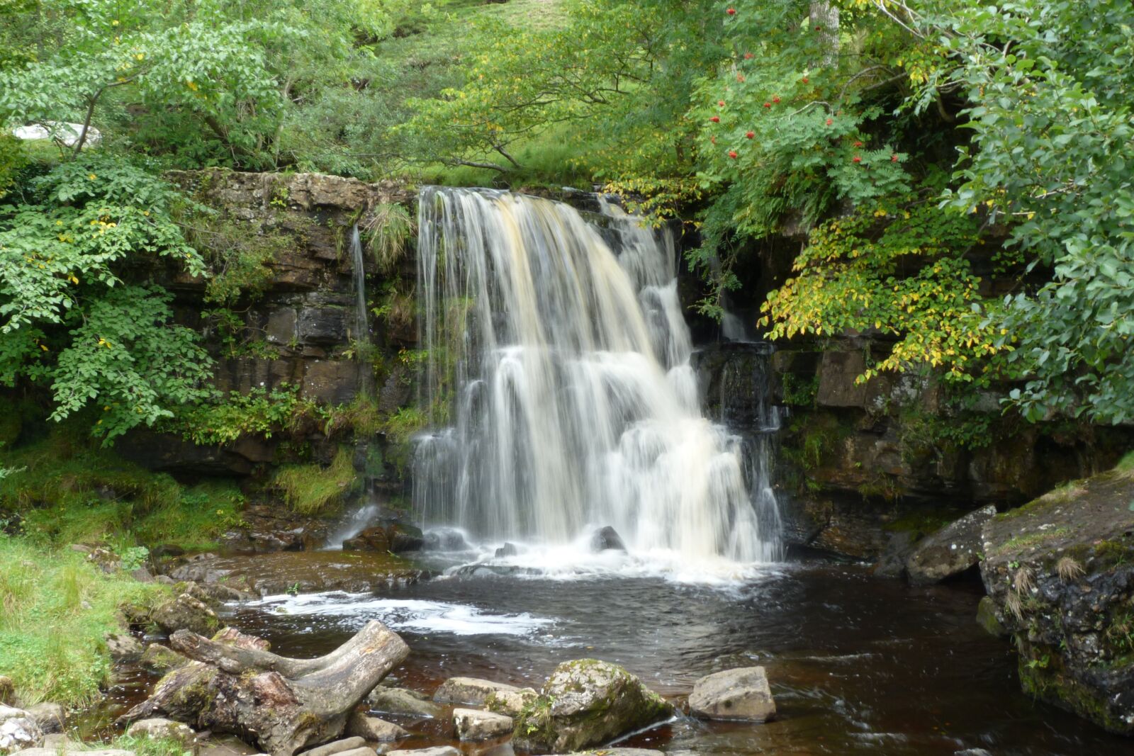 Panasonic Lumix DMC-FZ40 (Lumix DMC-FZ45) sample photo. Nature, catrake force, yorkshire photography