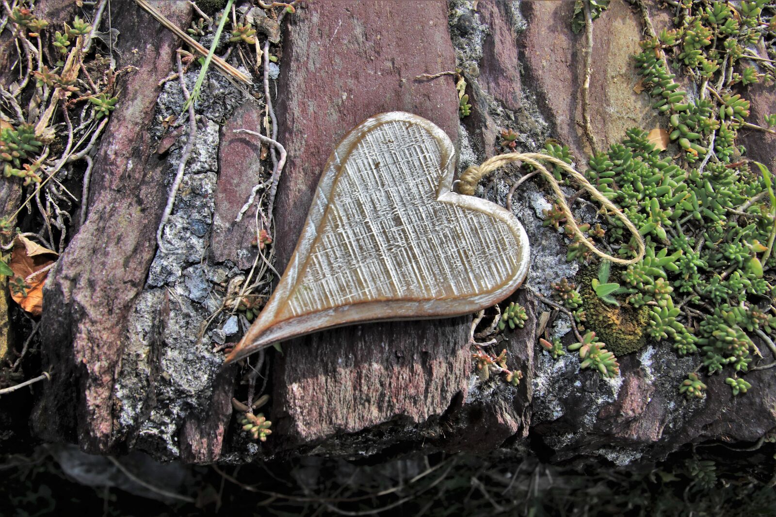 Canon EOS 80D sample photo. Gray, heart, wooden photography