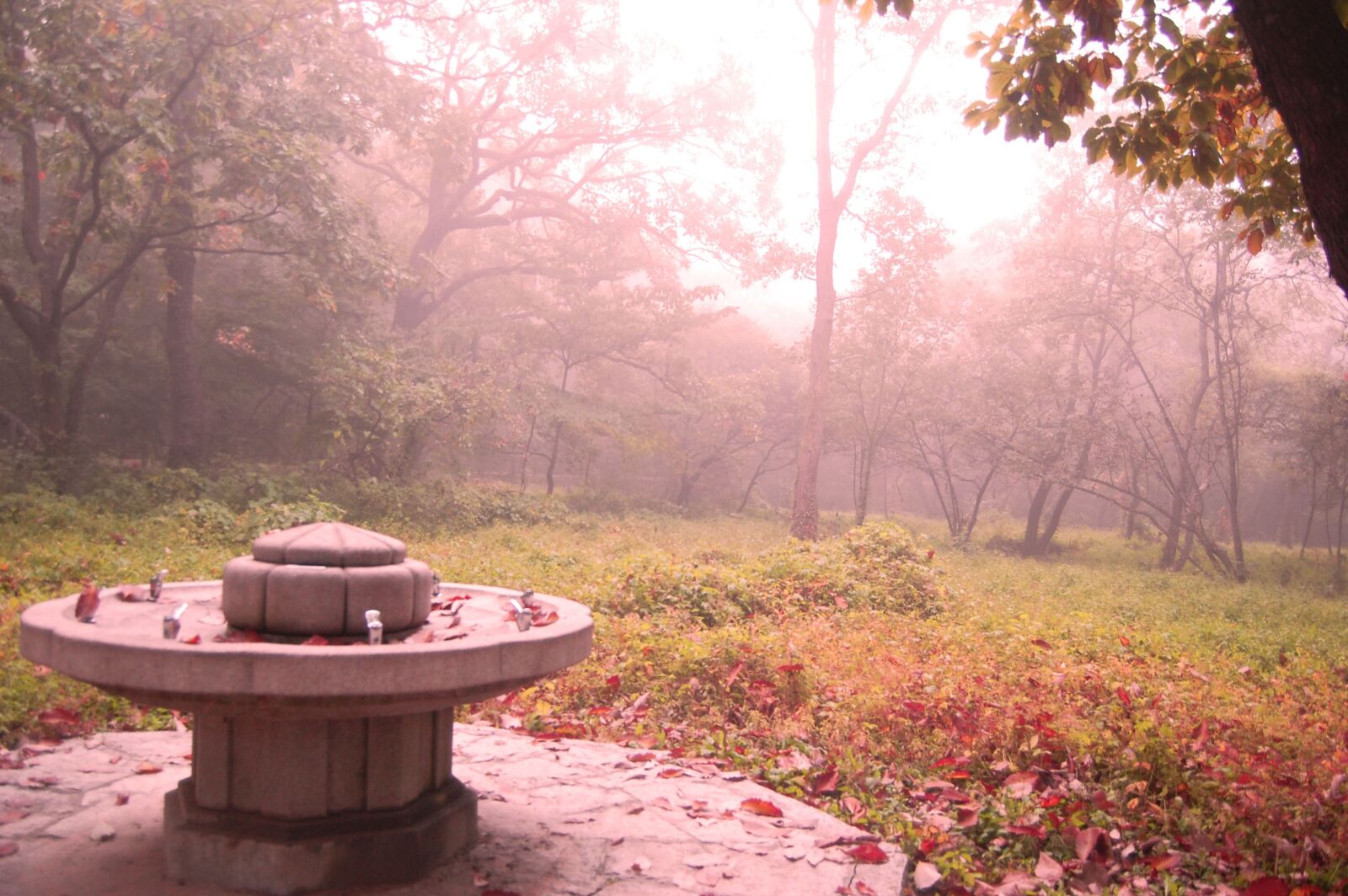 Nikon D40 sample photo. Korea, oriental, dreamlike photography