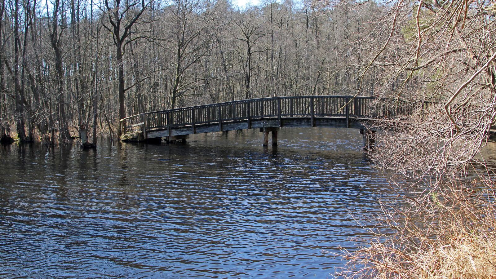 Canon EOS 600D (Rebel EOS T3i / EOS Kiss X5) sample photo. Waters, nature, river photography