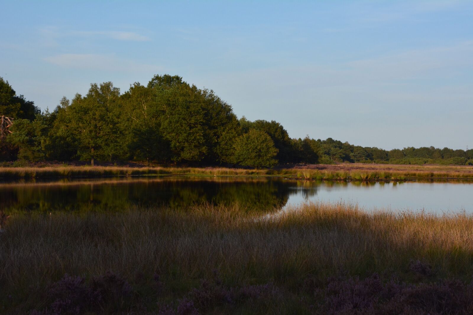 Nikon D5200 sample photo. Drenthe, nature, heide photography