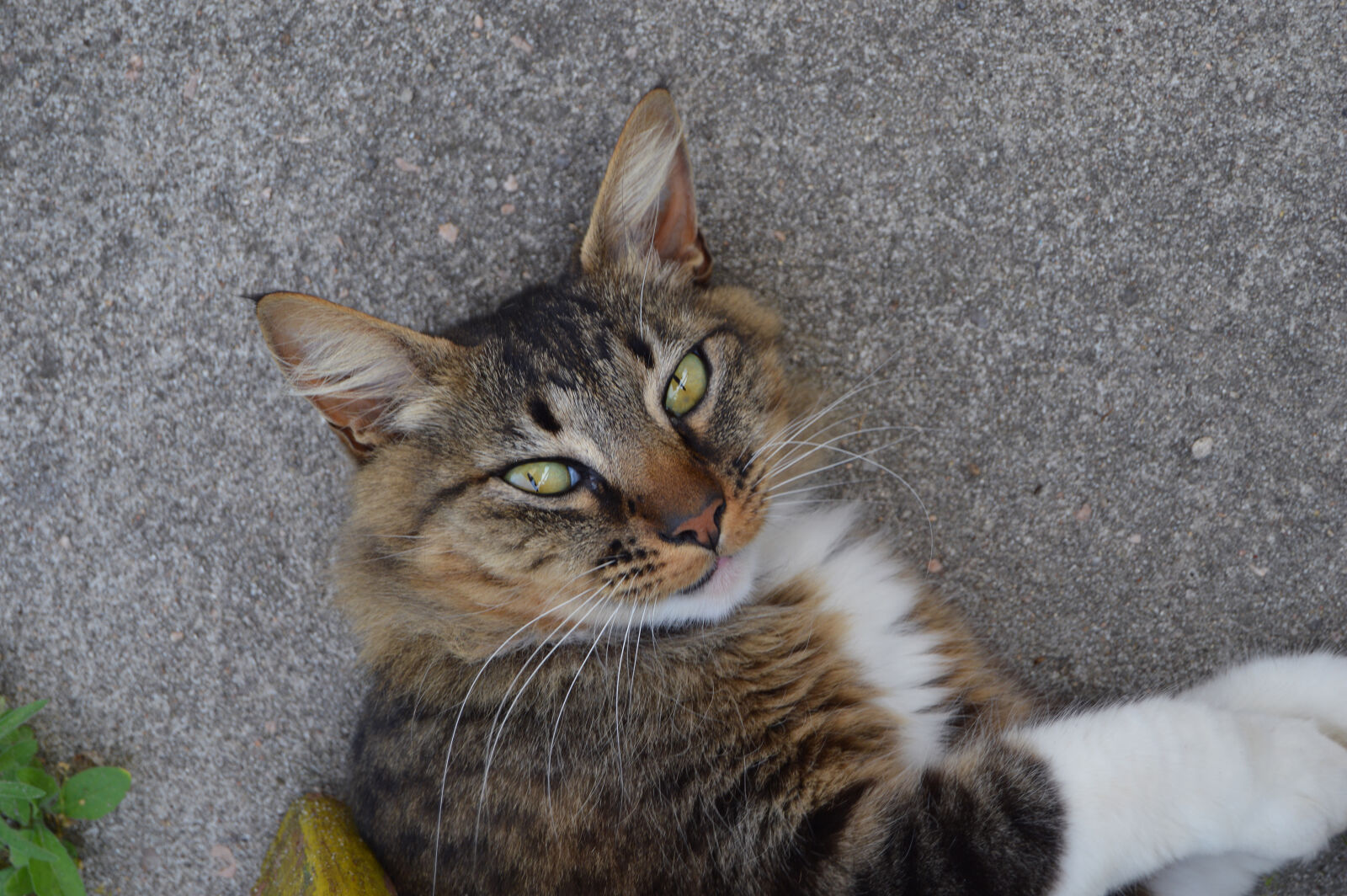 Nikon D3200 sample photo
