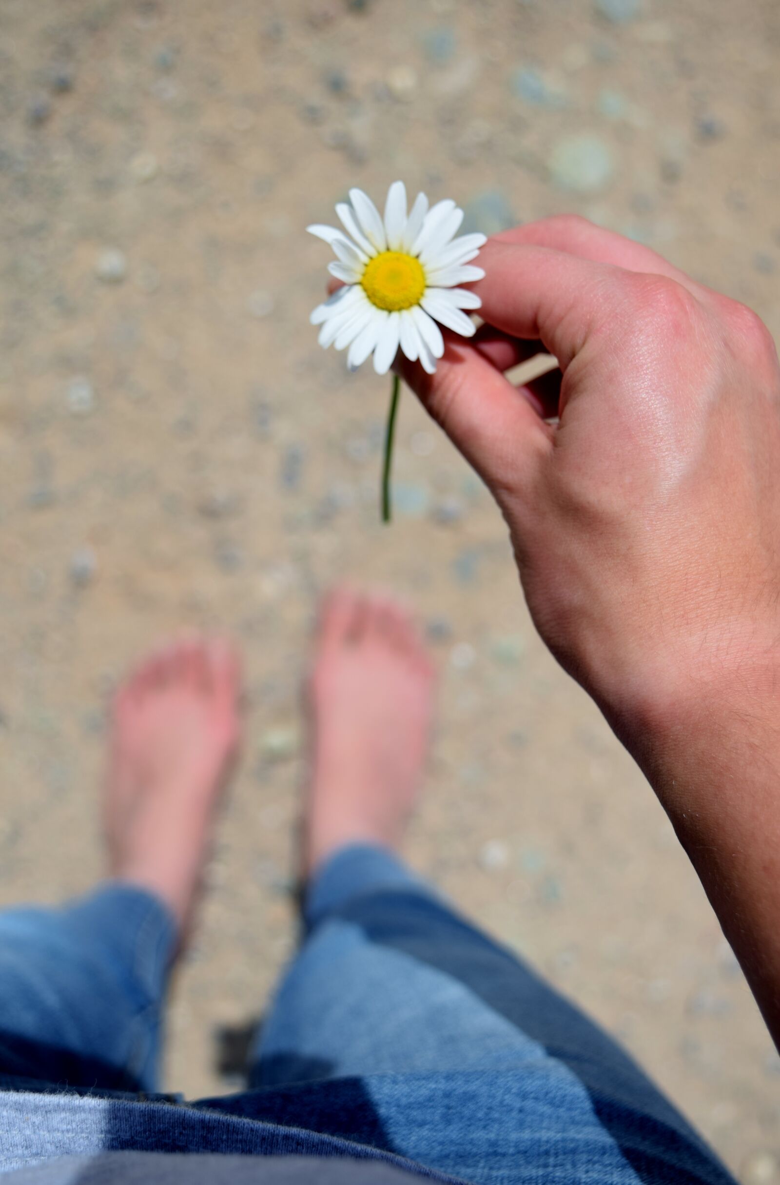 Nikon D3300 sample photo. Daisy, farm girl, country photography
