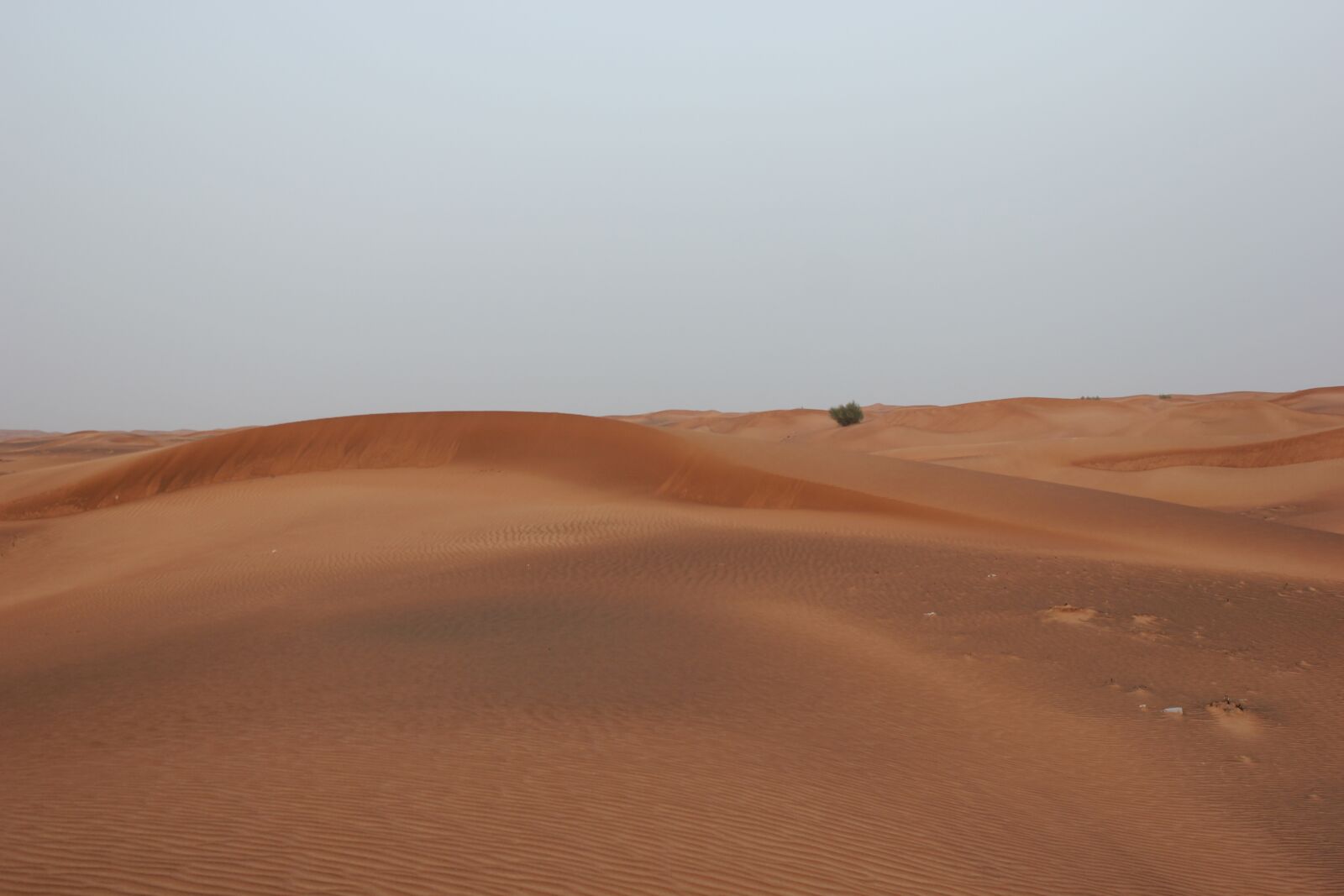 Canon EOS 550D (EOS Rebel T2i / EOS Kiss X4) sample photo. Desert, red sand, sand photography