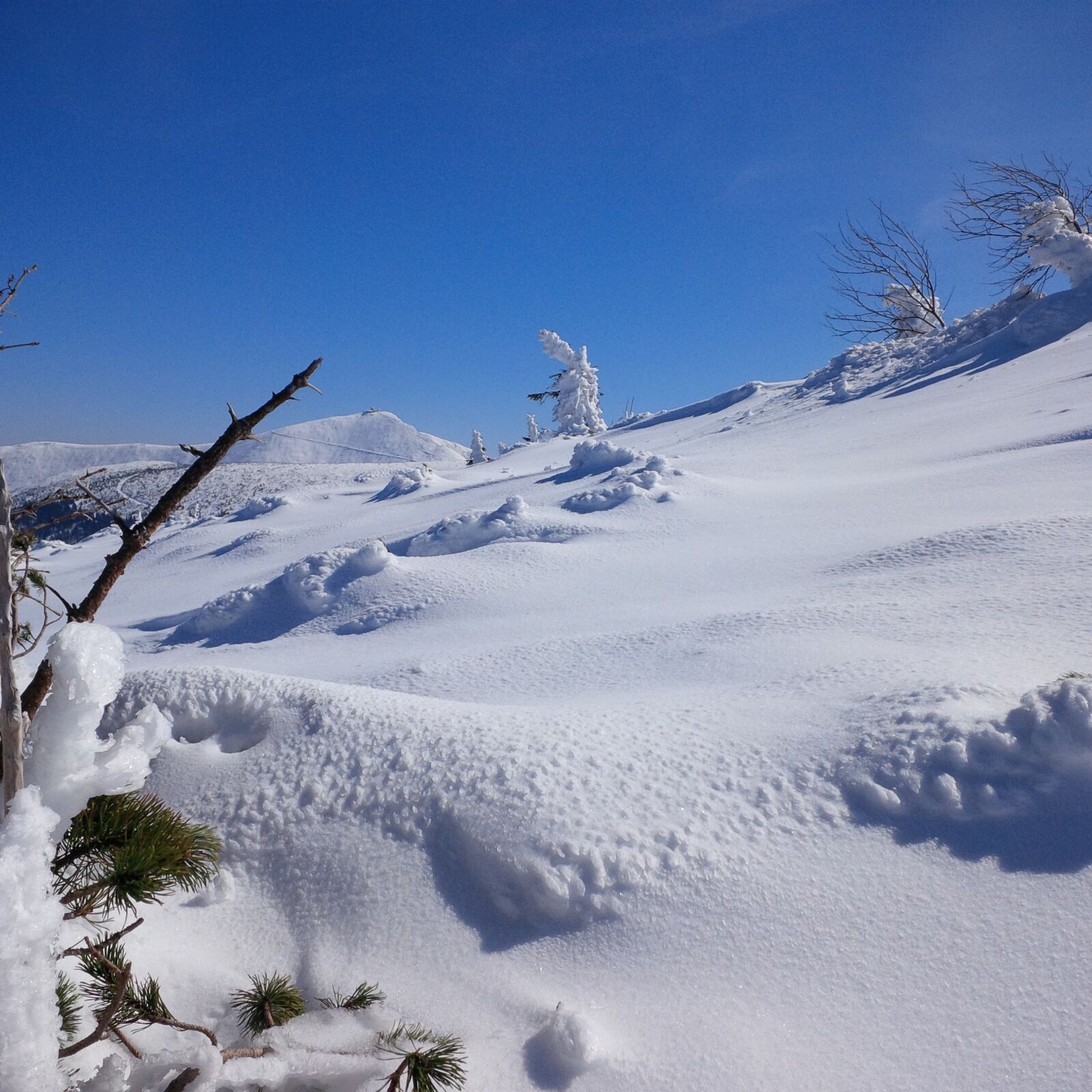 BlackBerry Z10 sample photo. Winter, krkono e giant photography