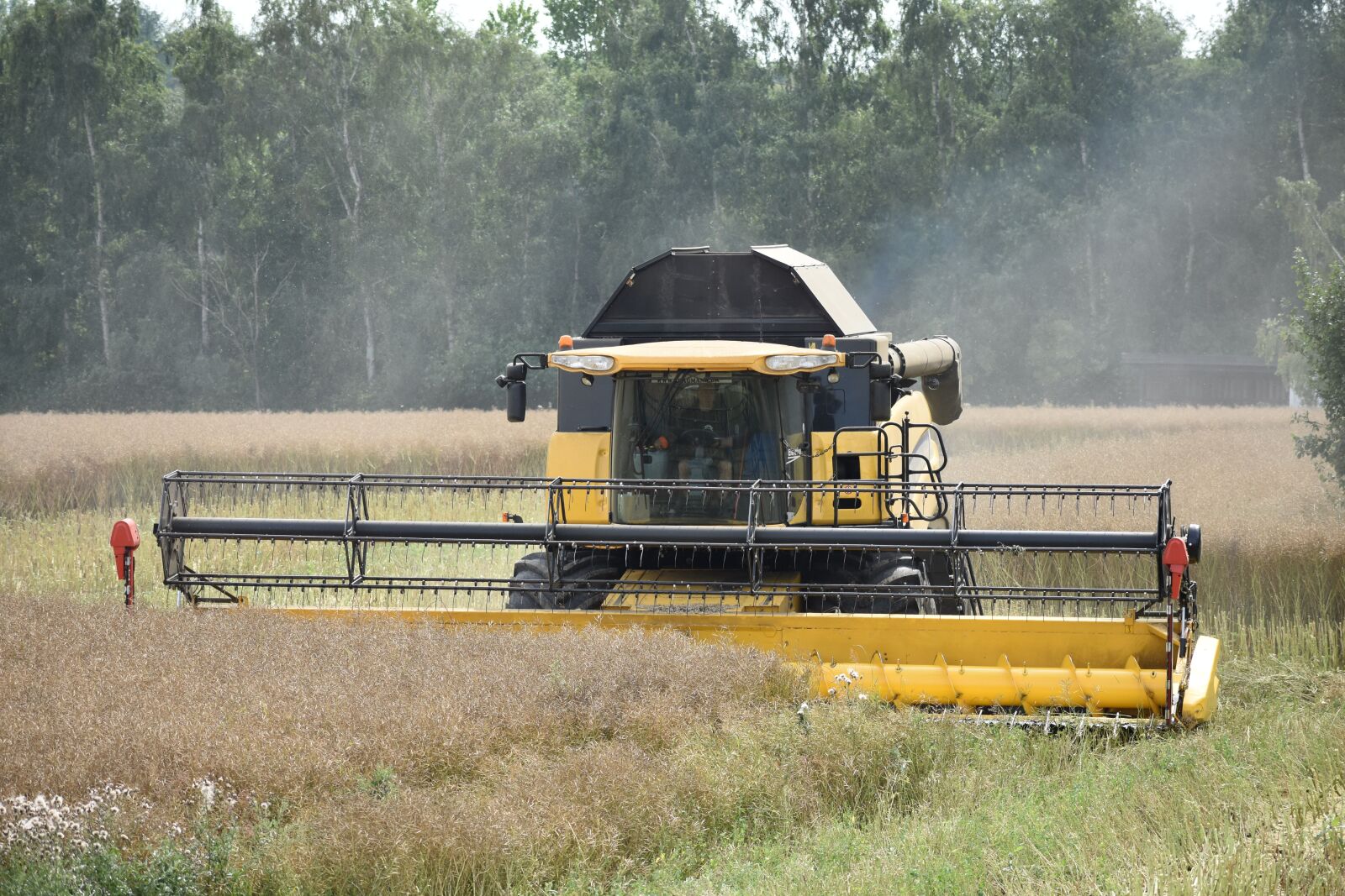 Nikon D3400 sample photo. Rapeseed harvester, farming, agriculture photography