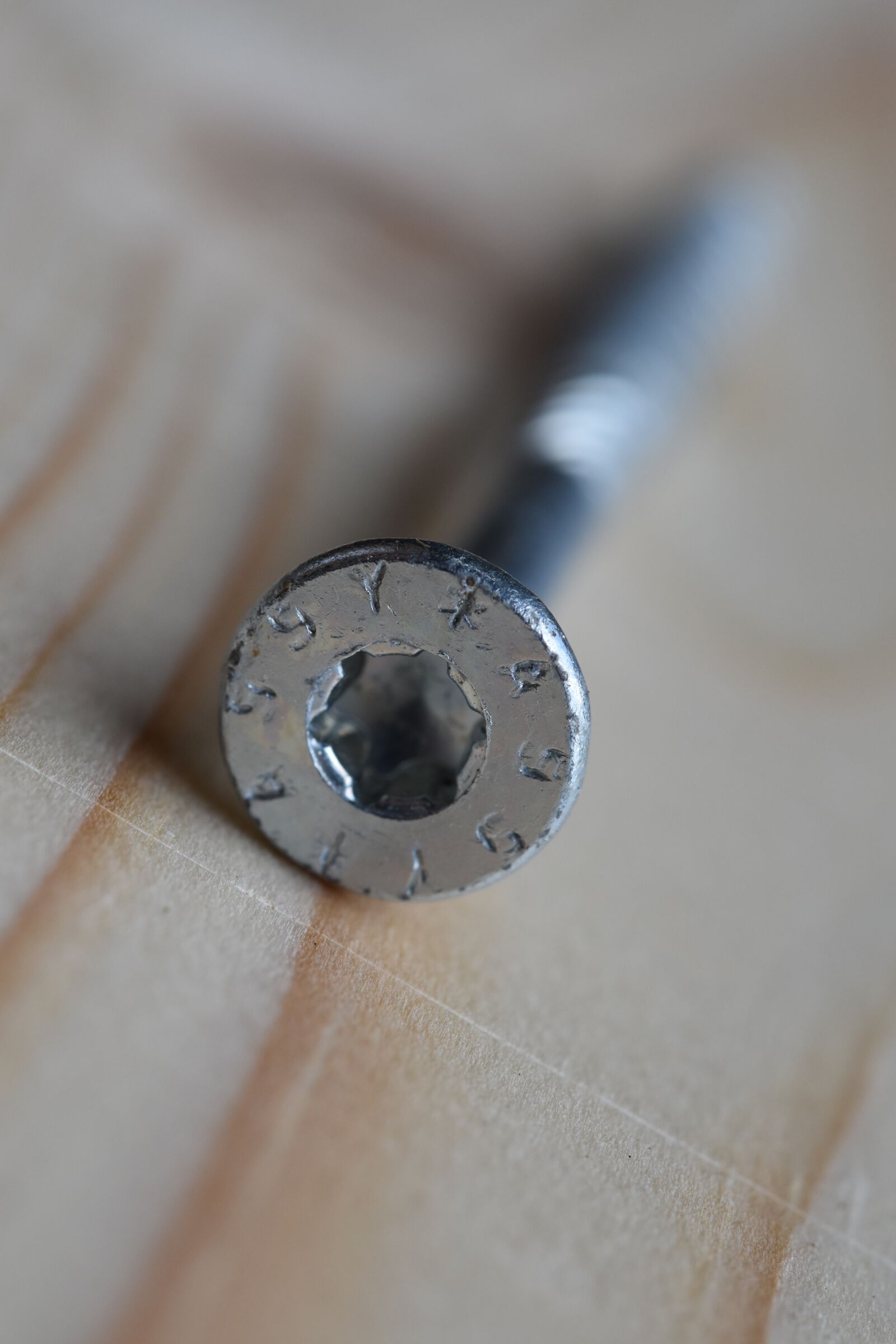 Nikon D5600 sample photo. Screw, screw head, stainless photography